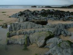 DSCF0841
