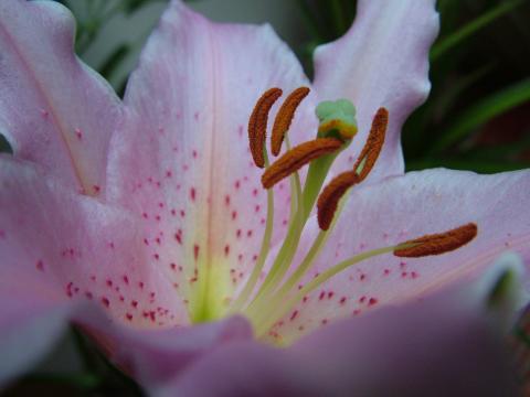 DSCF2583