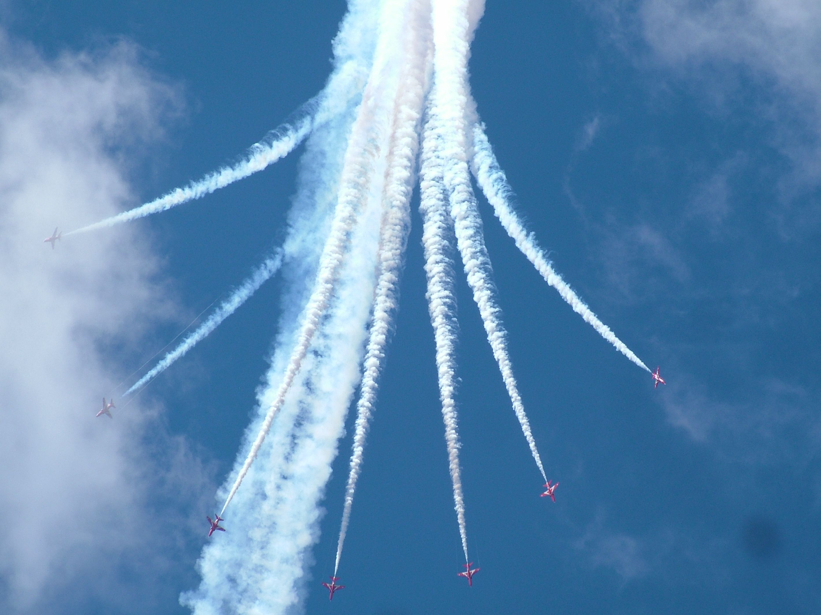 DSCF4974