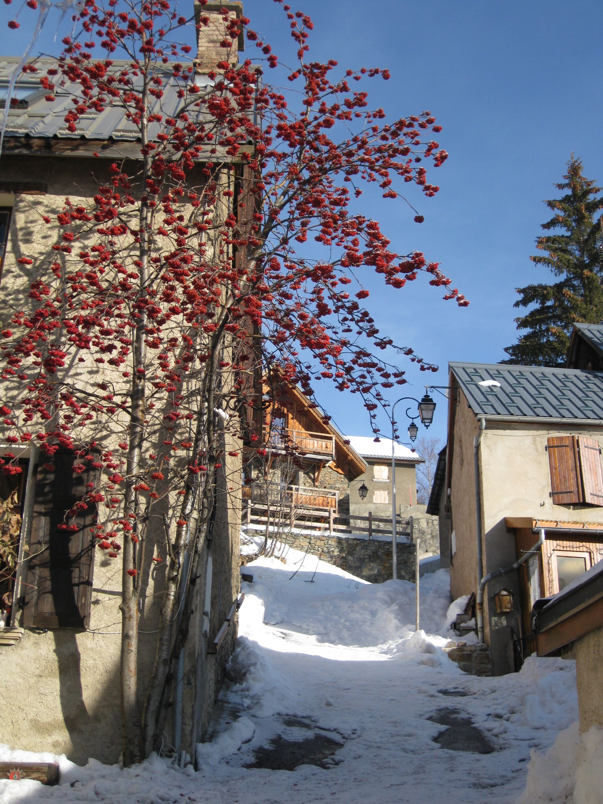 20100128092557_A&A